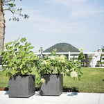 V4H9ED1967582F903DE9AFEF2C52CCCF9A9R7023766P6