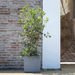 V3H4BD9B477E9C1633E8F6FFFF970988A73R5927905P2