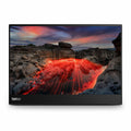 Monitor Lenovo ThinkVision M14t 14"