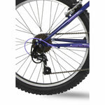V2HBC5A20CC7F49C4316EE40B729042BEEAR7187461P6