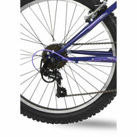 V2HBC5A20CC7F49C4316EE40B729042BEEAR7187461P6