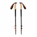 Bastone da Trekking Black Diamond BD110065 Porpora