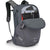 Zaino da montagna Osprey 10006252-1034 Grigio chiaro
