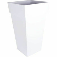 Vaso EDA 13639 Plastica Quadrato - Augustea Shop