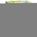 Fertilizzante per piante Algoflash Naturasol Ulivo Palma Agrumi 1 kg