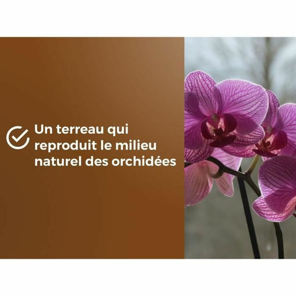 V3HDDF757B70266AC93D85F7047226D342FR5966079P4