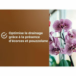 V3HEC095545948EBC7B8C992759B1CA2228R5966082P6