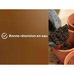 V4HB1BFC3089D261090827AEBB75D98281DR7071163P6