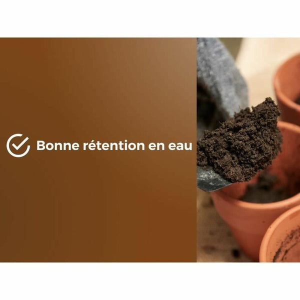 V4HB1BFC3089D261090827AEBB75D98281DR7071163P6