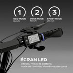 V4HF442131F956B6E503B77E3DA40FCFCA4R6685386P9