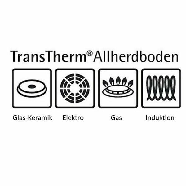 V3H35785F2F69FC9620D9798B9BD5D31CFCR6891956P2