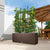 Vaso Lechuza 100 x 32 x 34 cm Plastica Rettangolare