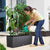 Vaso Lechuza 100 x 32 x 34 cm Plastica Rettangolare