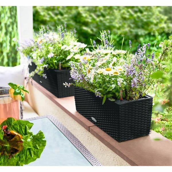 V4H81D557F75D3EE9D466D5D463D2D84065R6458000P2