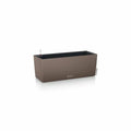 Vaso Lechuza Marrone Nero polipropilene