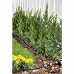 V2HFC6160E2CD93743123AE5C5AAF25F147R7152884P6