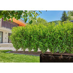 V4H30C85A8C5A955AFBC329AD48012846B2R7162843P8