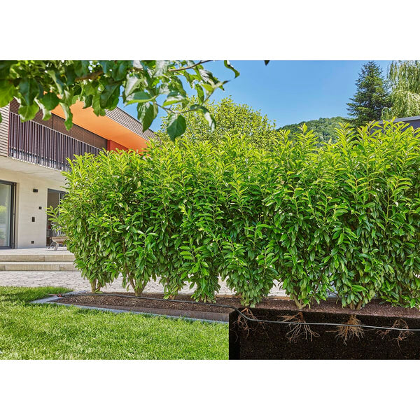 V4H30C85A8C5A955AFBC329AD48012846B2R7162843P8