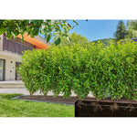 V4HCFC6B2A5B0D2E0D72A33A69905EDC96DR7162853P10