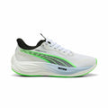 Scarpe da Running per Adulti Puma Velocity Nitro 3 Hyr