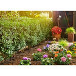 V4H9FF920ED9A1D737349CC7FBFF1C36C41R7162888P7