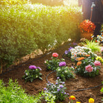 V4H15812A4687D0C3CBAE8C4AF1227AE9DER7162890P9