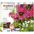 V4HDC2ECC96A9DA1CB62C2F2DFB152F135ER6220123P9