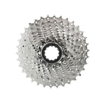 Pine Nuts Shimano ICSHG50010134