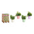 Vaso Ibergarden LINCE-CLAROS Bianco Verde Rosa Lilla Argilla 16,5 x 16 x 16,5 cm (120 Unità) - Augustea Shop