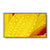 V3HA3774B8AEFFFAFD1AFBA5A84A81D5CCER7332282P1