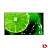 Monitor Videowall NEC 60005054 4K Ultra HD 54,6" 60 Hz - Augustea Shop