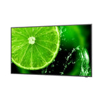 Monitor NEC 60005052 49" IPS LED - Augustea Shop