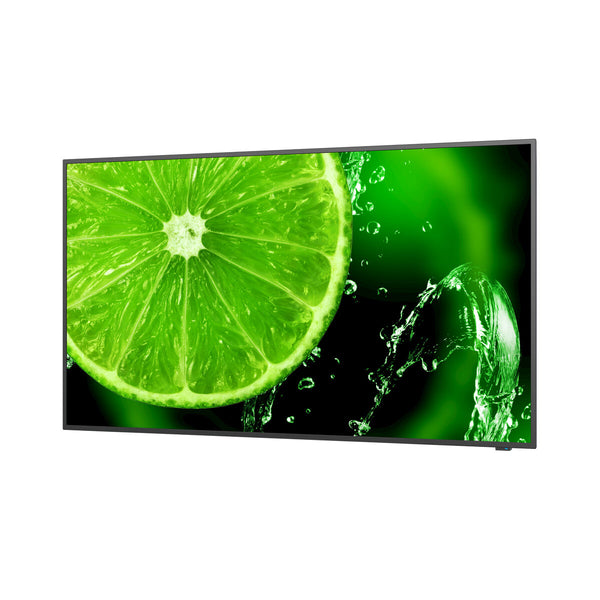 Monitor NEC 60005052 49" IPS LED - Augustea Shop