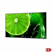 Monitor NEC 60005052 49" IPS LED - Augustea Shop