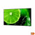 V9HEB8186C42BA37115661A72E55008B41FR3304225P2