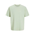 Men’s Short Sleeve T-Shirt Jack & Jones JORVARENNA PAINTED BACK TEE Green