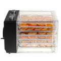 Essiccatore di Alimenti Adler AD 6660 600 W
