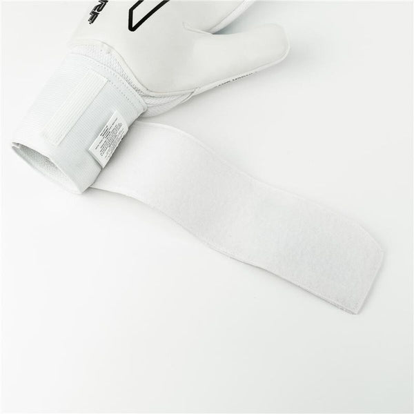 V4H8A3A86F016475D0B98087ACD08D91DCFR6134923P5