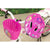 Casco da Ciclismo per Bambini The Paw Patrol Rosa Fucsia