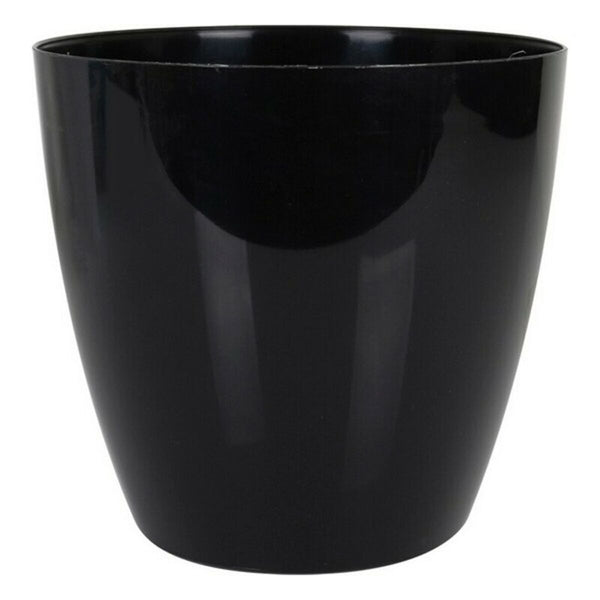 Vaso Dem (23 x 22 cm) - Augustea Shop