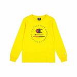 V4HBEA17014314080DE8B05C8595B383EB3R5459306P1