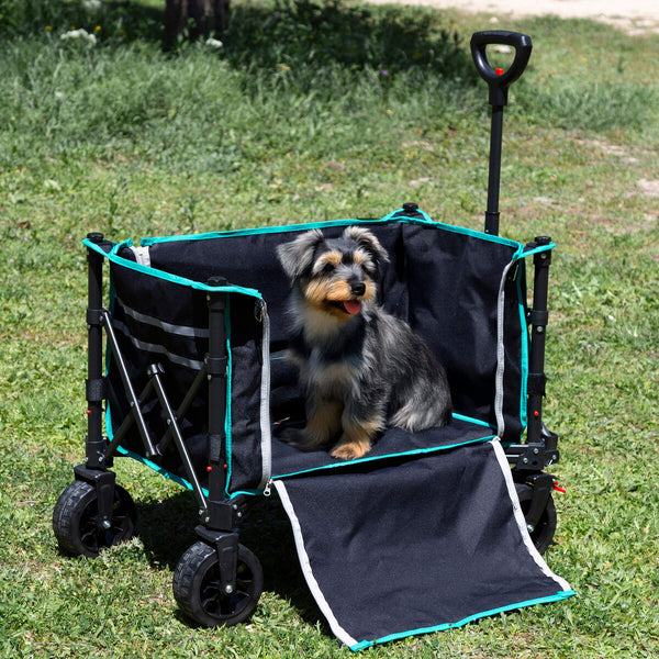 V3H38E5DC215C5C8F222B3B3B5E7F7897EAR7513568P4