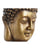 Vaso DKD Home Decor Fibra di Vetro Dorato Buddha Orientale (25 x 25 x 36 cm) - Augustea Shop