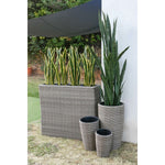 Vaso Home ESPRIT polipropilene Rattan 83 x 22 x 65 cm - Augustea Shop