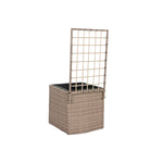 Vaso Home ESPRIT polipropilene Rattan 48 x 52 x 114 cm - Augustea Shop
