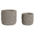 Set di vasi da fiori Home ESPRIT Grigio chiaro Cemento 20 x 20 x 18 cm - Augustea Shop