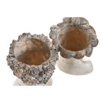 V2HC2372429DA8367FF2B25343195412FCAR7428746P3