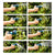 Pistola per Annaffiare Ferrestock Azzurro - Augustea Shop