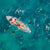 Kayak Gonfiabile Trasparente con Accessori Paros InnovaGoods 312 cm 2 posti (Ricondizionati A)