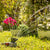 Irrigatore da Giardino a 360º Klerdden InnovaGoods 36 getti - Augustea Shop